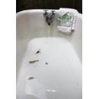 Peony and olive leaf bath milk sachet - DOT & LIL