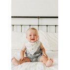 Rex Baby Bandana Bibs 4-Pack - Copper Pearl