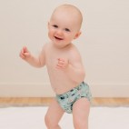 Washable Pocket Diaper - La Petite Ourse