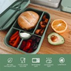 Blush silicone bento lunch box - NOUKA