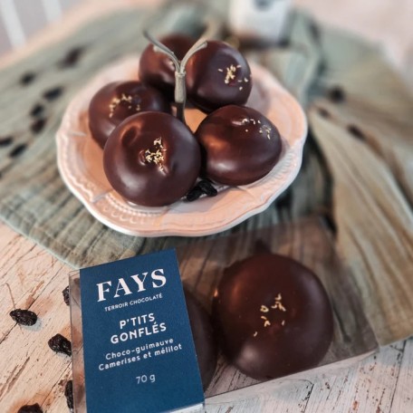 Les p'tits gonflés Choco Marshmallow Camerises Mélilot - Fays