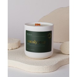 Eucalyptus soy candle - Feu & Co