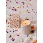 Confetti 100% Soy 8 oz reusable candle - Mimi & August